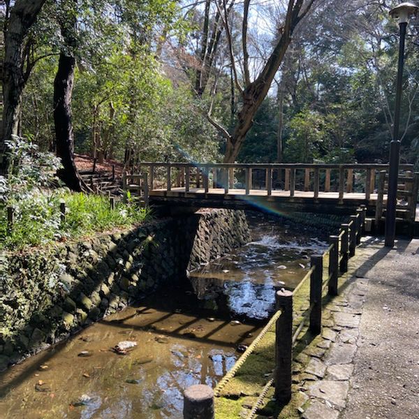 【東京】等々力渓谷で涼を感じましょう