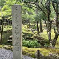 【京都】苔が美しい完全予約制のお寺