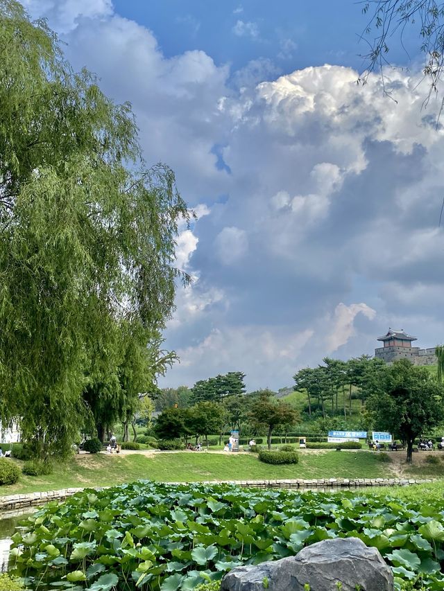 수원에서 하는 피크닉 🧺