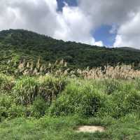 昂坪平原俯瞰整個西貢景色
