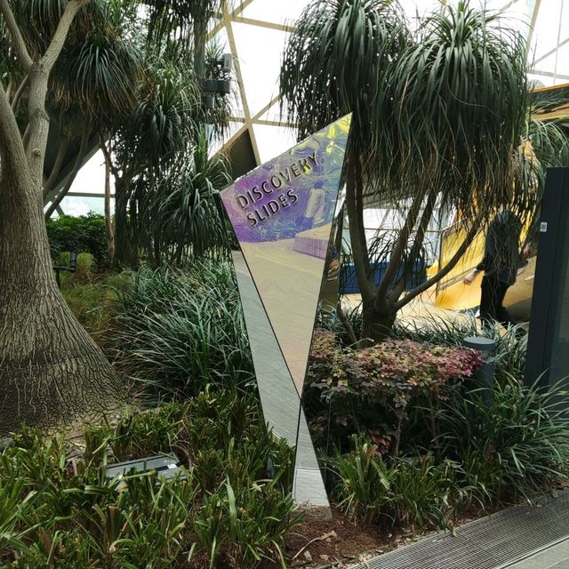 Discovery Slides