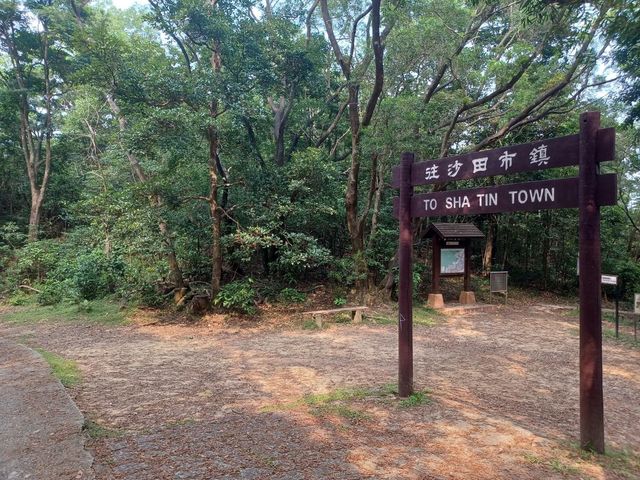 麥理浩徑第7段～針山