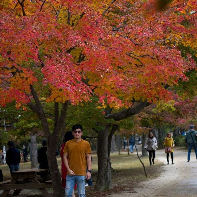 Somewhere Gapyeong station