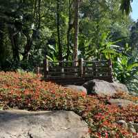 สวนแม่ฟ้าหลวง พิกัดเชียงราย