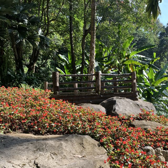 สวนแม่ฟ้าหลวง พิกัดเชียงราย