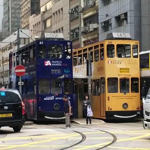 Royale experience Royale experience