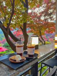 화담숲근처 숲속카페☕️