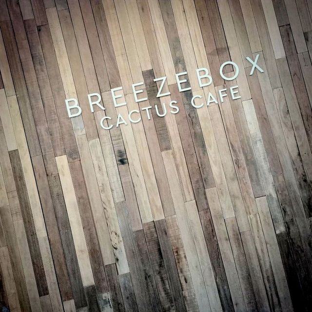 Breeze Box Cafe x Cactus พัทยา