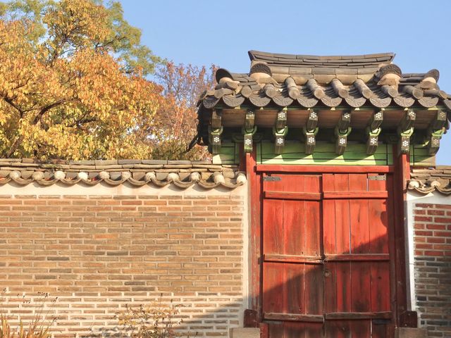 한국의 전통미 가득한 궁궐투어 ‘창덕궁’