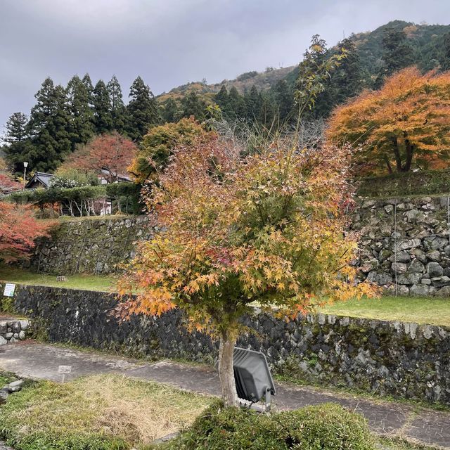 【兵庫県】秋の出石城跡を散策！