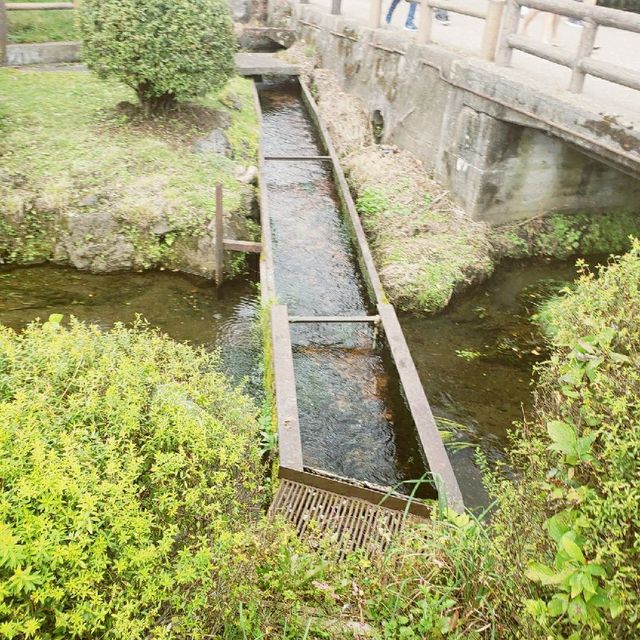 【山梨県】忍野八海