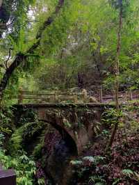 新竹北埔獅頭山風景區景點｜藤萍步道、歇心茶樓、北埔老街感受濃情客家風味