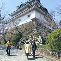 wakayama castle