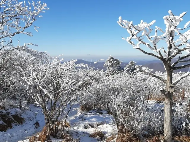 태백산 국립공원🏞