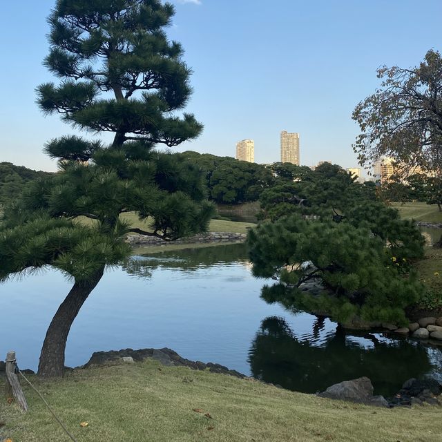 東京〝浜離宮恩賜庭園〟