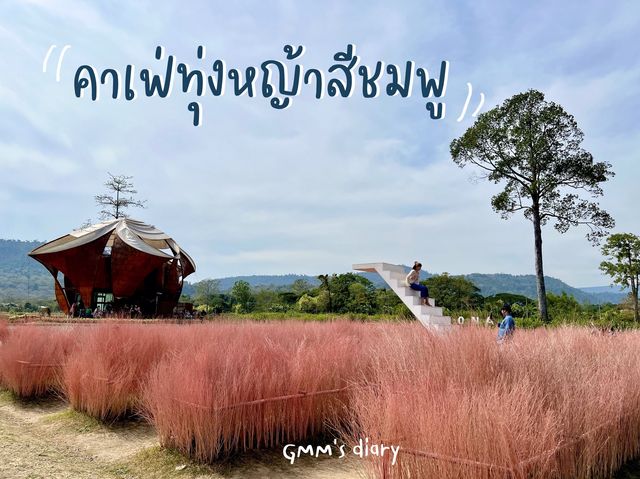 คาเฟ่ทุ่งดอกไม้สีชมพู : เวโรน่า ทับลาน