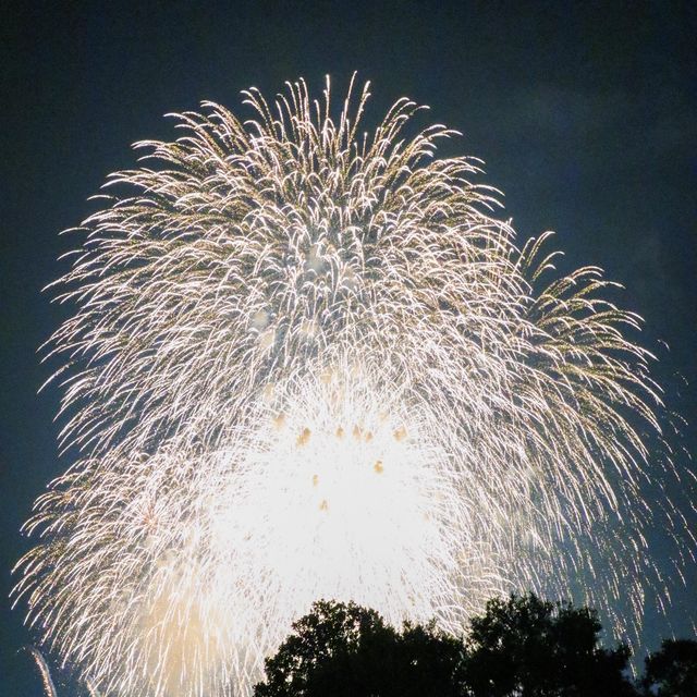立川にある昭和記念公園 毎年行われる花火大会