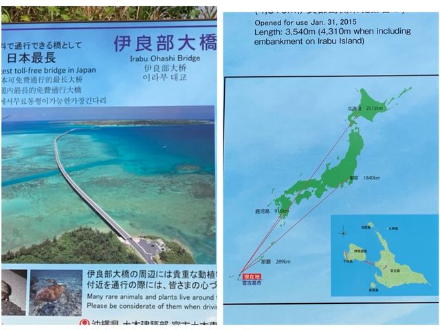 宮古島　日本一❗️伊良部大橋と限定黒糖アイスを大満喫❗️