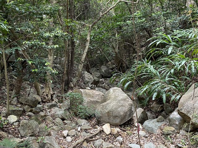 極限挑戰行山路線—虎吼石河