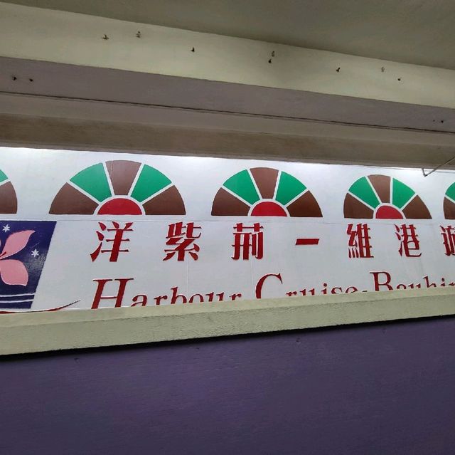 洋紫荊維港遊⛴️自助餐+開篷巴士遊