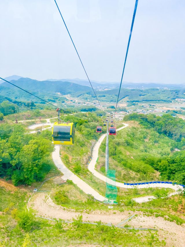 강화씨사이드리조트 루지 곤돌라 풍경🚠
