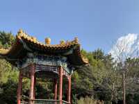 korean Park in the midst of waterfall 