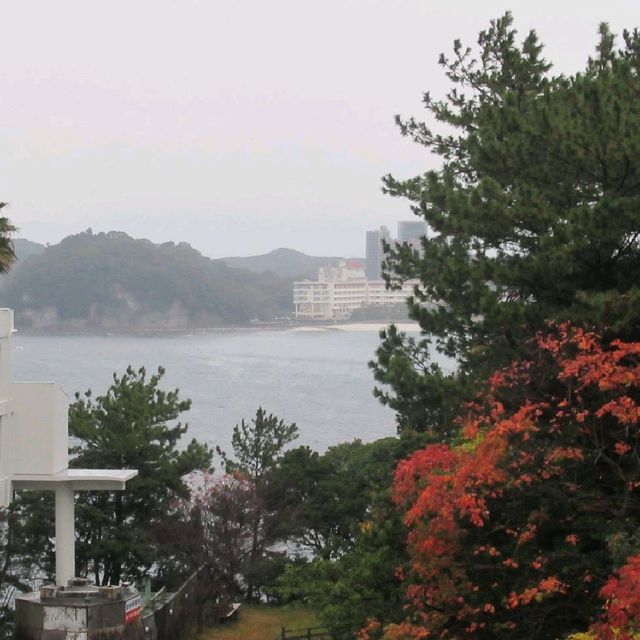 温泉之旅♨️