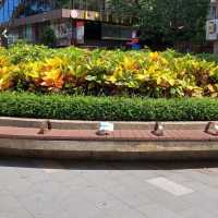 市中心休憩花園