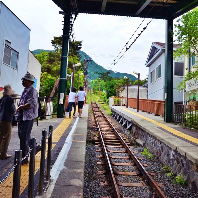 🚆 산악철도의 묘미, 하코네 등산열차