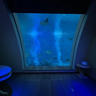 Ocean Suite Trip Com Singapore Travelogues