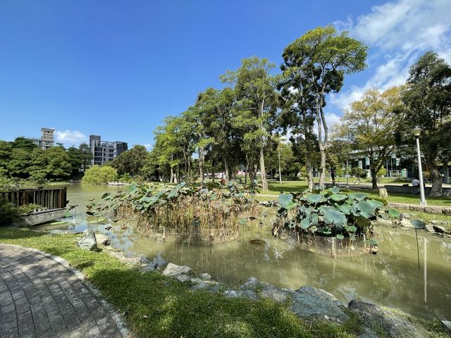 有沒有像台版兼六園呢 這邊就像是一個台版的金澤花園 