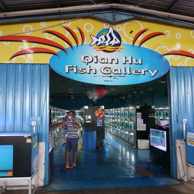 Qian Hu Fish Farm