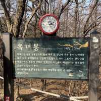 서울 등산 단풍구경 나들이_청계산