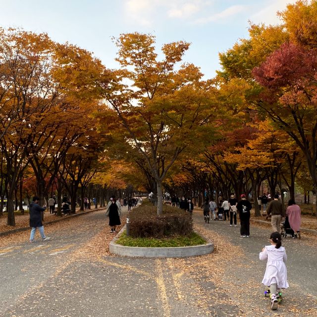 Superb fall park with magnificent road