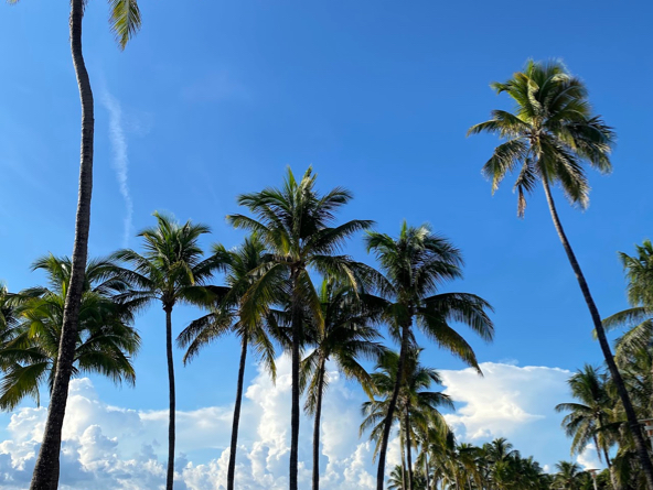 Beach Front Park 