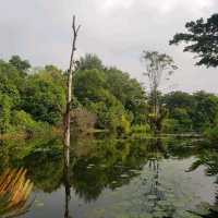 Weekend Exploration At Hampstead wetland 
