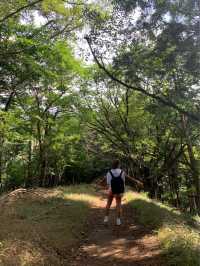 Hiking spot, Oyama(大山)🏔