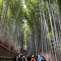 嵐山 竹林之道