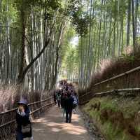 嵐山 竹林之道