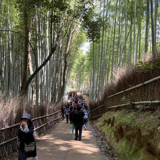嵐山 竹林之道