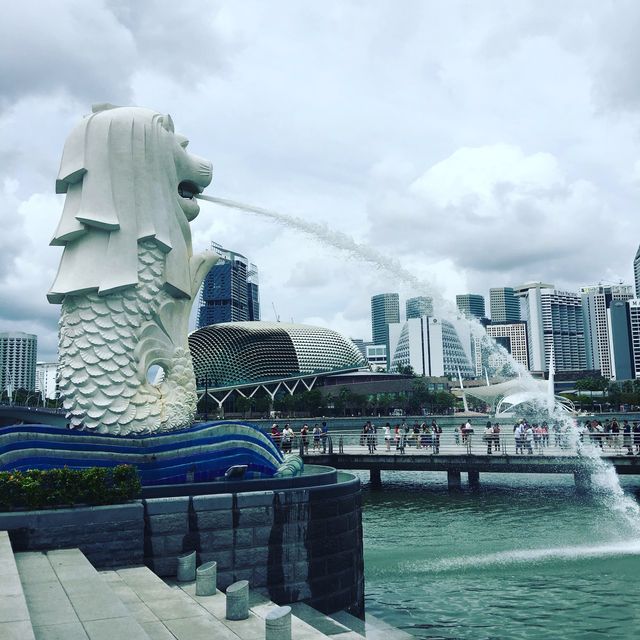 沿途風景優美🇸🇬新加坡建築散步路線🚶🏻‍♂️🚶🏻‍♀️🚶🏿 Merlion