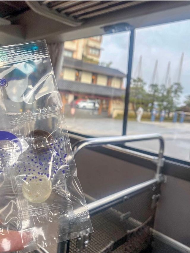 【石川】一生に一度は行きたい！〇〇が日本一の温泉宿が最高すぎた