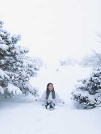 제주 눈 올때 갈만한 코스! 윗세오름 등반 ❄️