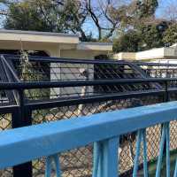 何度行っても楽しめる！無料の動物園♪