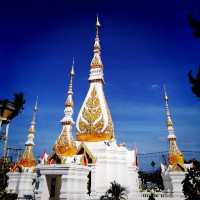 Tao-ngoi buddha temple 🐢