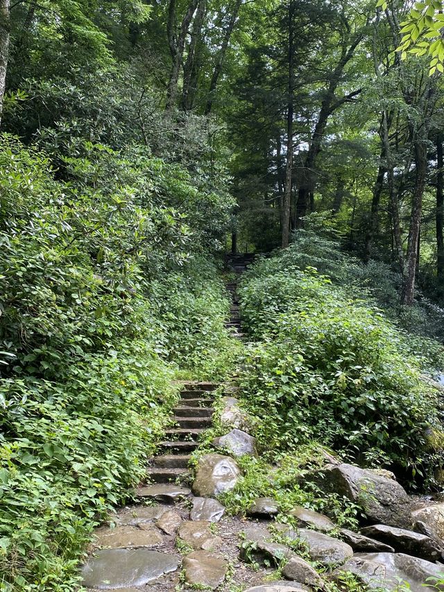 Chimney Top Trail - Smoky National Park