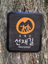 오대산 선재길 트래킹 