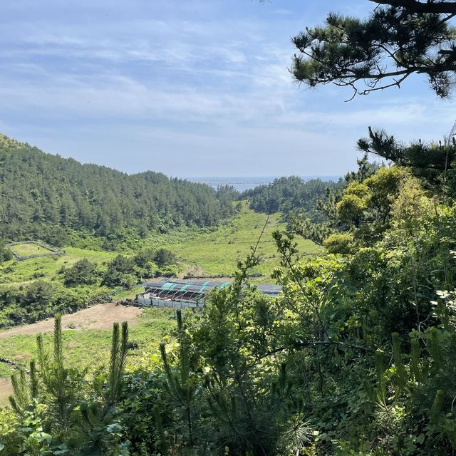 Beautiful Jeju Hike