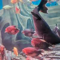 Shanghai Ocean Aquarium