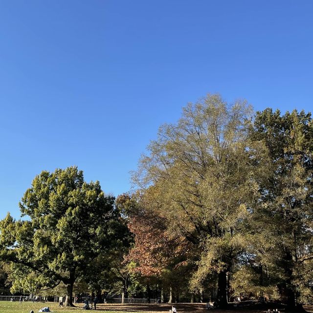 🏞️ Central Park in NYC